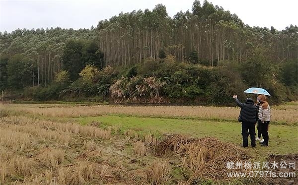 四川陈老师带着爱徒寻龙点穴